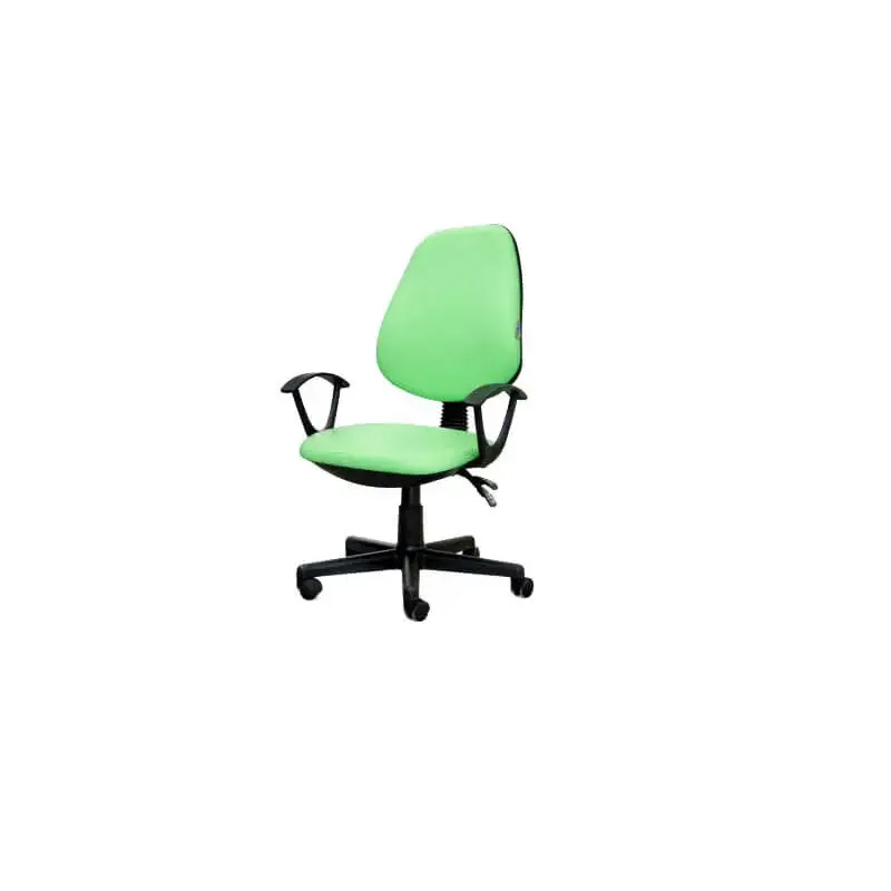 Chaise De Bureau Sécretaria SOTUFAB En Simili Cuir Avec Accoudoirs - Pistache, Photo boutique Best Buy Tunisie chez Best Buy Tunisie
