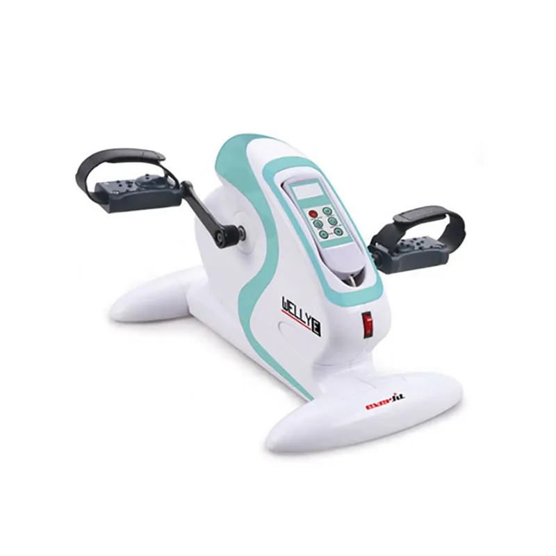 Mini Vélo EVERFIT (WELLY-E), Vue principale